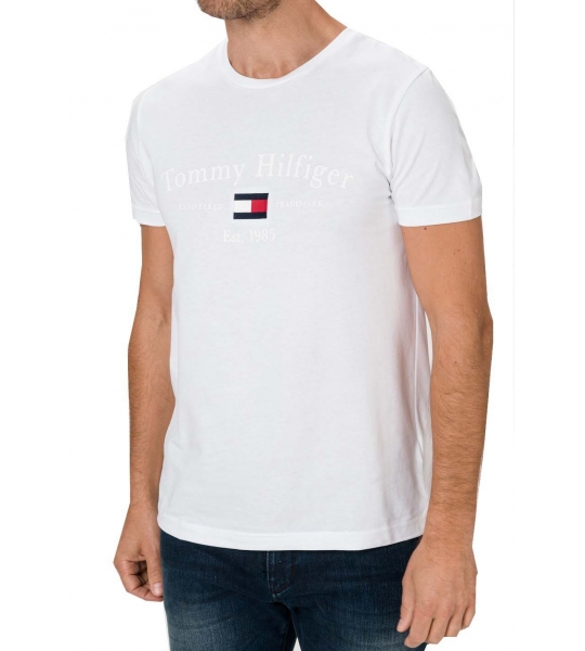 Men´s Tommy Hilfiger Archive Graphic tee